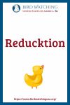Reducktion- an image of a duck pun