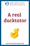 A real ducktator- an image of a duck pun