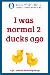 I was normal 2 ducks ago- an image of a duck pun