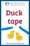 Duck tape- an image of a duck pun