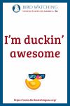 I’m duckin’ awesome- an image of a duck pun