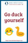 Go duck yourself- an image of a duck pun