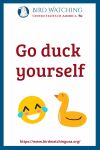 Go duck yourself- an image of a duck pun