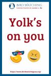 Yolk’s on you - an image of a duck pun