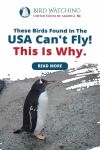 These Birds Found In The USA Can’t Fly! This Is Why! Thumbnail