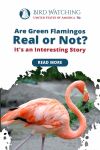 Are Green Flamingos Real or Not? It's an Interesting Story Thumbnail