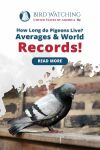 How Long do Pigeons Live? Averages & World Records! Thumbnail