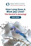 How Long Does a Blue Jay Live? The Record Is Amazing! Thumbnail
