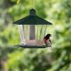 bird on feeder