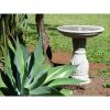 best spot for birdbaths