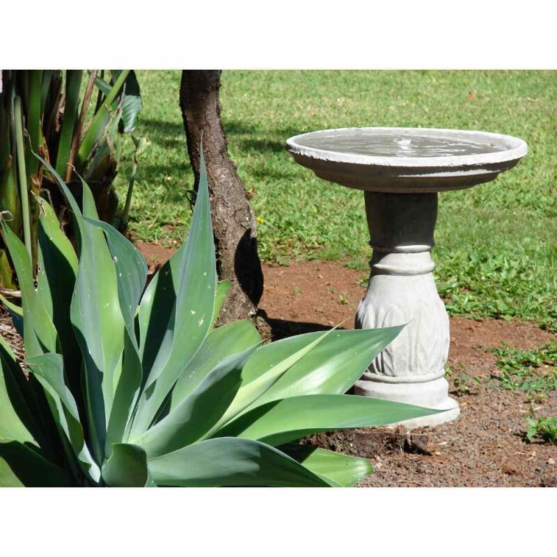 5 Easy Steps to Install a Bird Bath Security, Position, Height, and