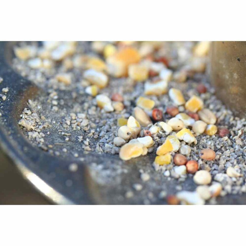 8 Proven Strategies to Stop Bird Seed from Sprouting in Your Lawn!