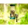 a tufted titmouse with seed