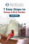 7 Simple Steps to Help You Setup a Bird Feeder Including Pictures and Pro tips! Thumbnail