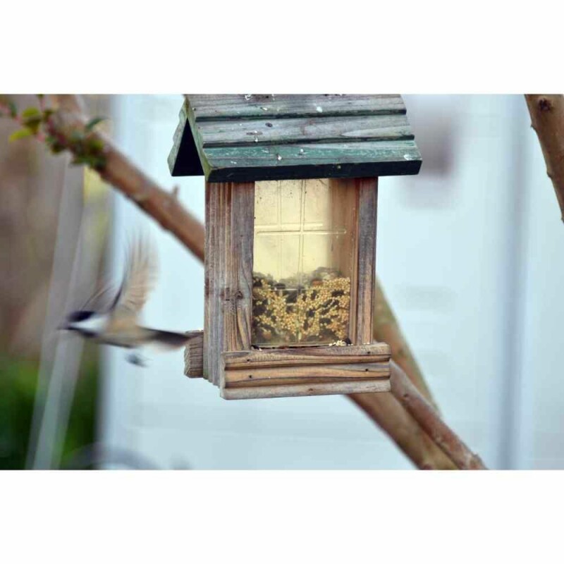 7 Simple Steps to Help You Setup a Bird Feeder Including Pictures and