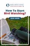 How to Start Bird Watching? A Fantastic Guide for An Enthralling Experience! Thumbnail
