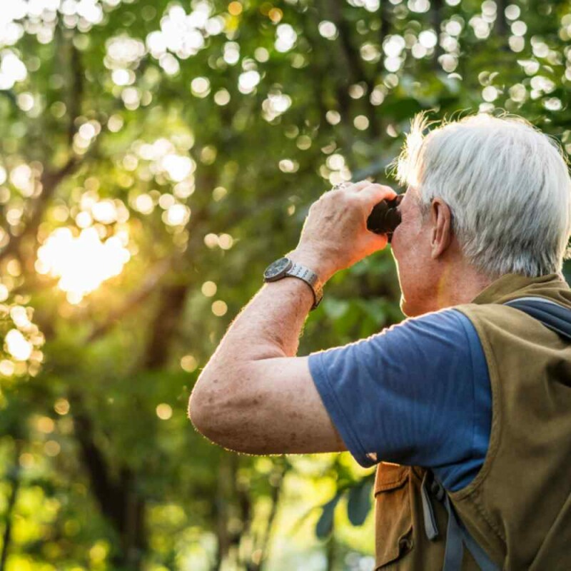 How to Start Bird Watching? A Fantastic Guide for An Enthralling