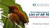 Hummingbird Hunters – List Of All 18 Hummingbird Predators Thumbnail