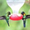 two hummingbirds