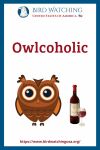 Owlcoholic- an image of an owl pun