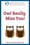 Owl Really Miss You- an image of an owl pun