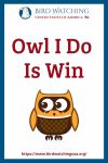 Owl I Do Is Win- an image of an owl pun