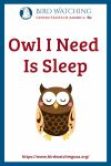 Owl I Need Is Sleep- an image of an owl pun