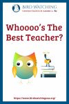 Whoooo’s The Best Teacher?- an image of an owl pun