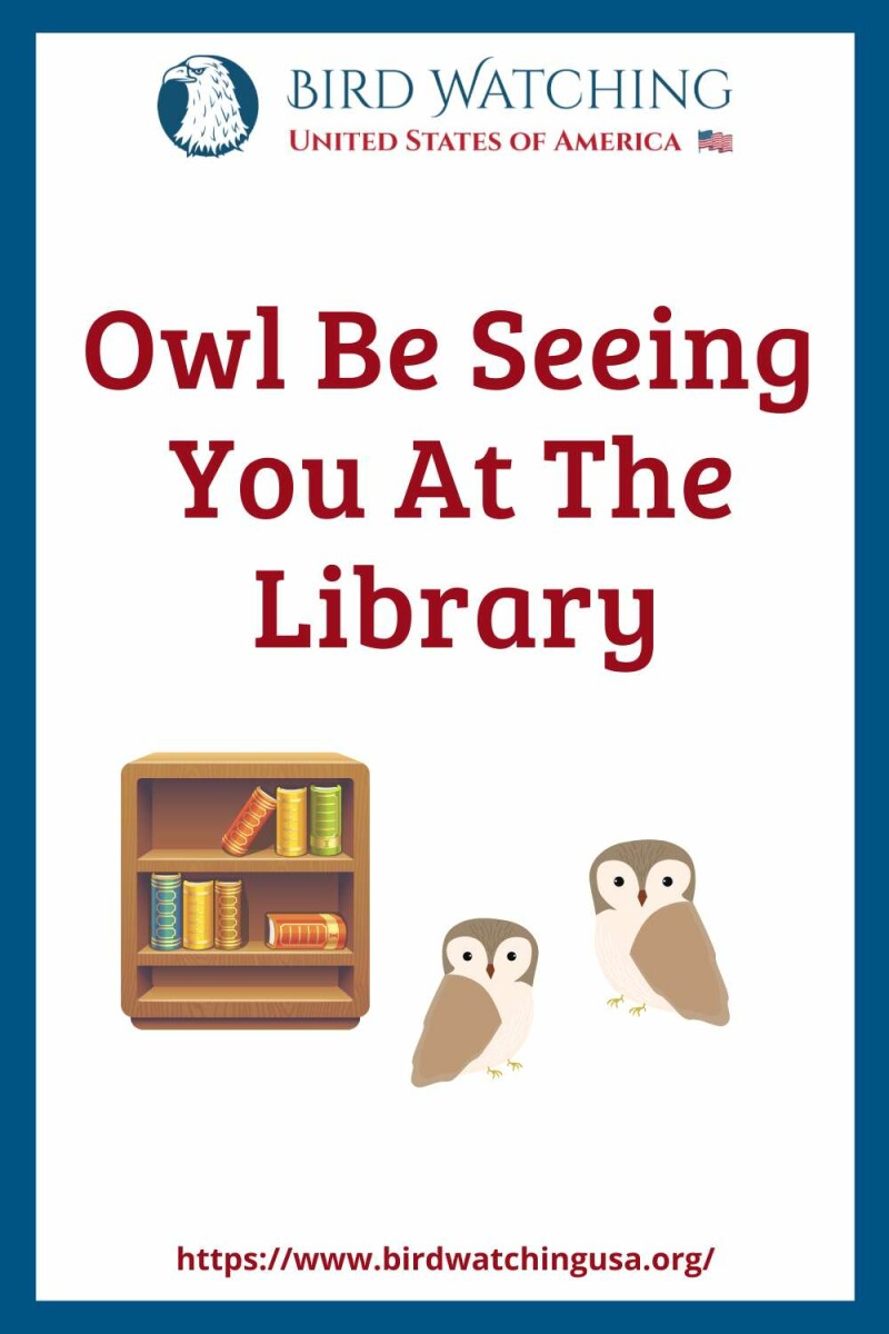 60+ Funny Owl Puns & Pictures to Make You Smile!