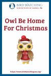 Owl Be Home For Christmas- an image of an owl pun