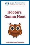 Hooters Gonna Hoot- an image of an owl pun