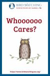 Whoooooo Cares?- an image of an owl pun