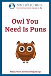 Owl You Need Is Puns- an image of an owl pun