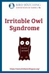 Irritable Owl Syndrome- an image of an owl pun