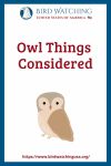 Owl Things Considered- an image of an owl pun