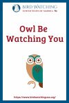 Owl Be Watching You- an image of an owl pun