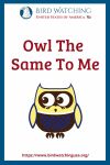 Owl The Same To Me- an image of an owl pun