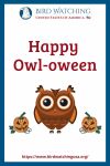 Happy Owl-oween- an image of an owl pun