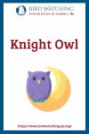 Knight Owl- an image of an owl pun
