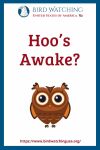 Hoo’s Awake?- an image of an owl pun