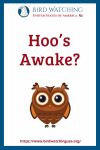 Hoo’s Awake?- an image of an owl pun