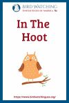 In The Hoot- an image of an owl pun