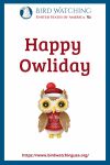 Happy Owliday- an image of an owl pun