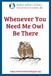 Whenever You Need Me Owl Be There- an image of an owl pun