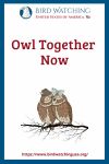 Owl Together Now- an image of an owl pun