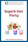 Superb Owl Party- an image of an owl pun