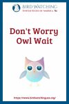 Don't Worry Owl Wait- an image of an owl pun