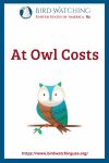 At Owl Costs- an image of an owl pun
