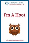 I’m A Hoot- an image of an owl pun