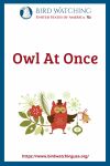 Owl At Once- an image of an owl pun